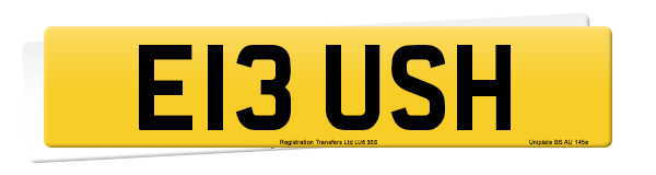 Registration number E13 USH
